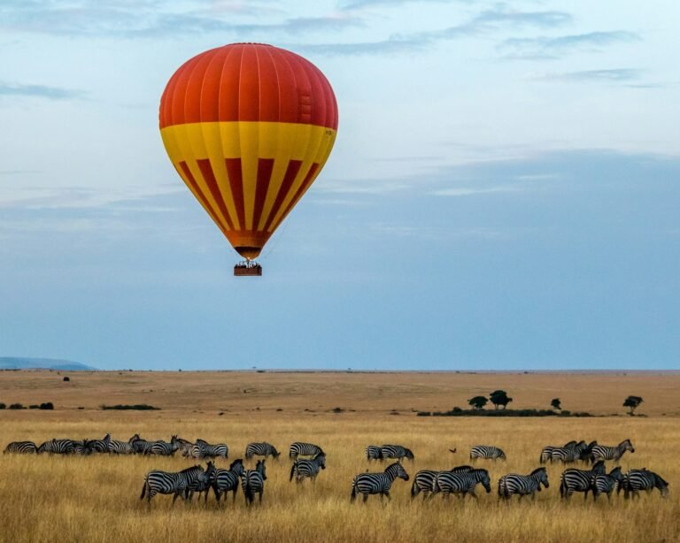 Red and yellow hot air balloon hovering over a field of Zebras